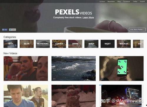 日本娱乐界爆料视频网页,揭秘热门视频背后的真相 第3张 日本娱乐界爆料视频网页,揭秘热门视频背后的真相 第3张