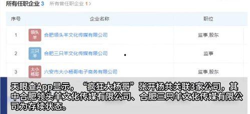 热点爆料杨哥视频播放网站,热门爆料背后的真相 第3张 热点爆料杨哥视频播放网站,热门爆料背后的真相 第3张