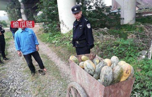 盐山网红吃瓜事件视频,一场网络狂欢背后的真相揭秘