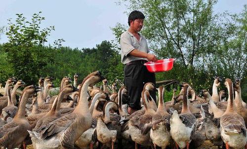 钓鱼爆料老山羊视频大全,老山羊视频大全中的钓鱼技巧与心得 第1张 钓鱼爆料老山羊视频大全,老山羊视频大全中的钓鱼技巧与心得 第1张
