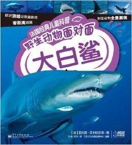 科普爆料大白鲨视频,大白鲨惊悚瞬间大揭秘  第1张